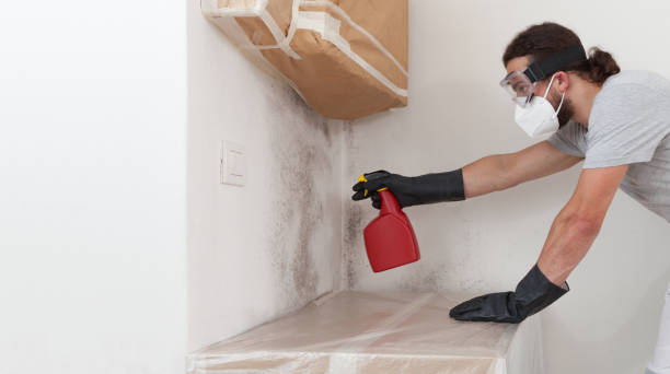 Professional Attic Mold Remediation technician working in Sparta, NC