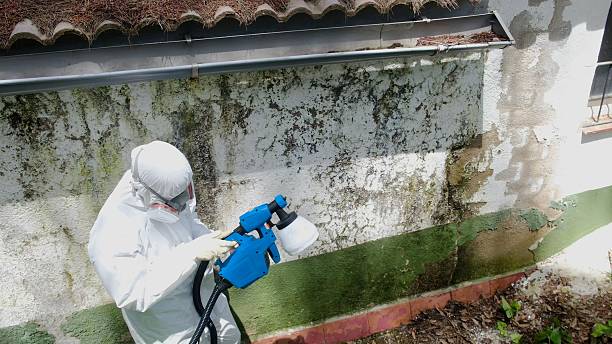 Top rated local Attic Mold Remediation specialists in Sparta, NC